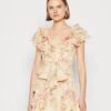 Ted Baker Ammiah - Cocktailjurk - Tan