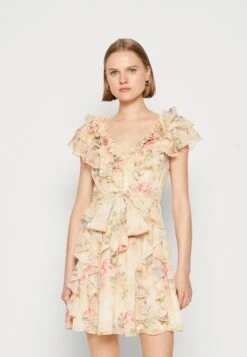 Ted Baker Ammiah - Cocktailjurk - Tan